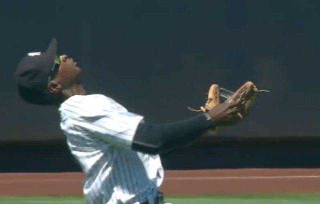New York Yankees: Didi Gregorius Makes Epic Over-The-Shoulder Catch (Video)