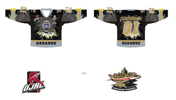 Minor League Hockey Team To Sport Harambe Jerseys