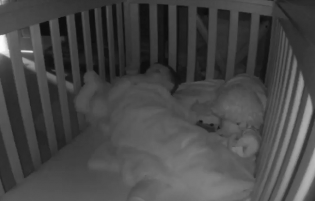 New York Rangers: 2-year old in crib chants ‘Let’s go Rangers’ (Video)