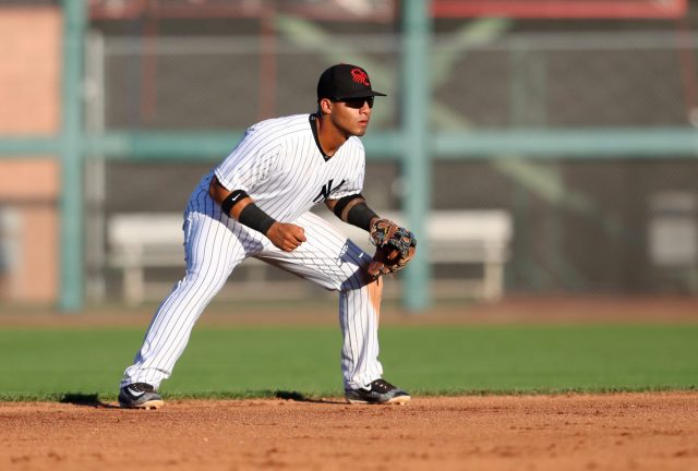 New York Yankees young stud Gleyber Torres has much to prove ... and he will