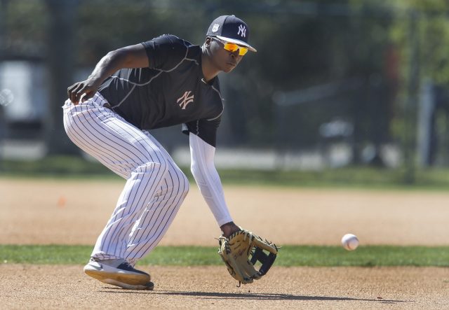 New York Yankees: Didi Gregorius Goes Off On Chinese Taipei In WBC