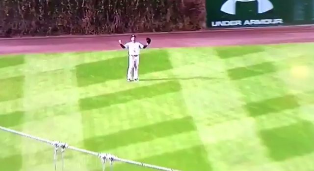 New York Yankees: Aaron Hicks Takes Impeccable Route To Ball (Video)