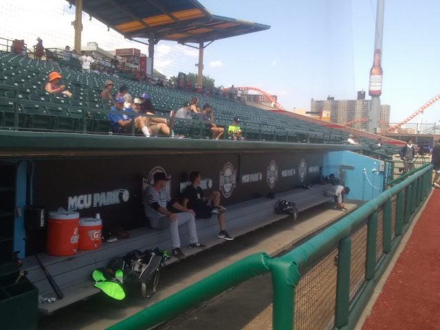 Behind Timely Hitting, Brooklyn Cyclones Split Series with Staten Island