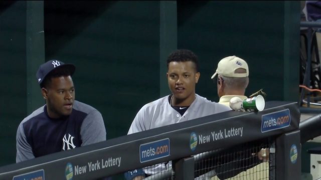 New York Yankees: Luis Severino Befriends Potential New Mascot (Video)