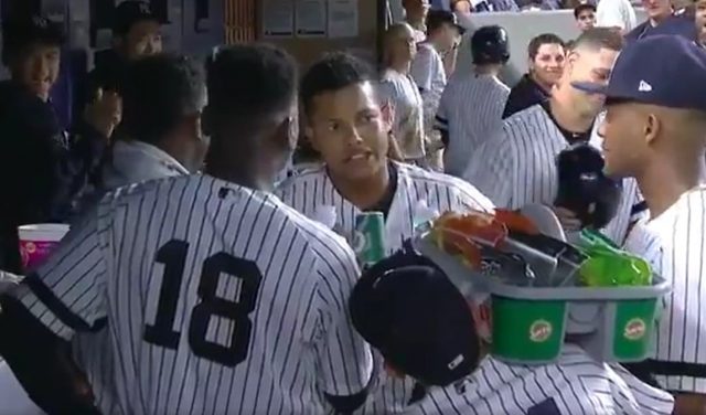 New York Yankees: Ronald Torreyes Has Found His New Career (Video)