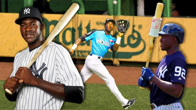 New York Yankees: Why fans should be excited about Estevan Florial