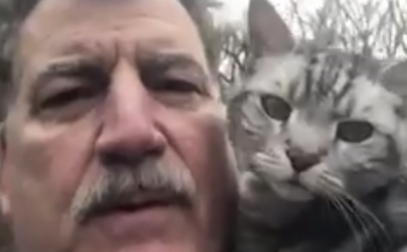 New York Mets: Keith Hernandez gets the paper with cat Hadji (Video)