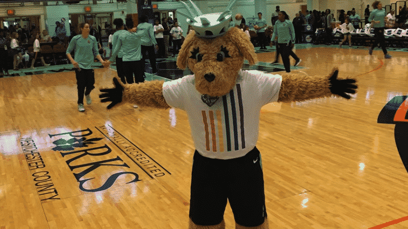 New York Liberty: Coleman’s clutch three secures close win (Highlights)