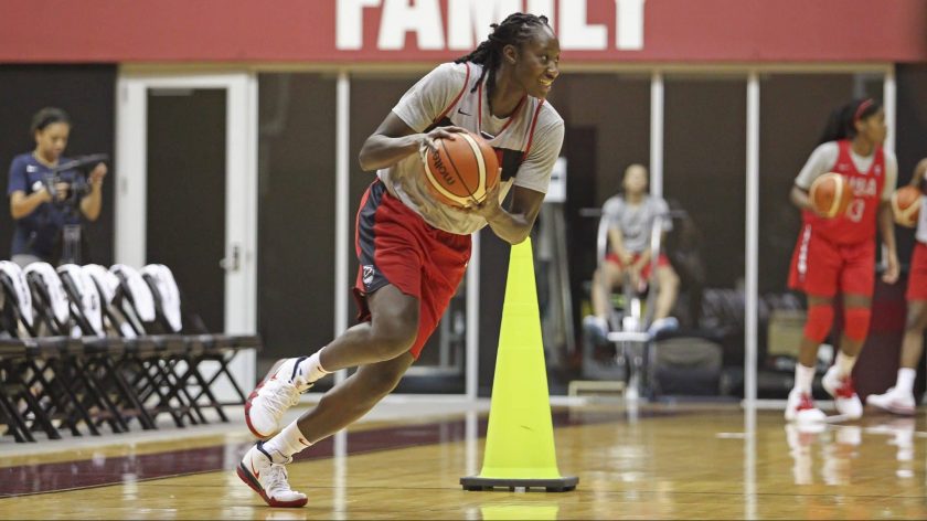 New York Liberty: Tina Charles impresses at USA training camp