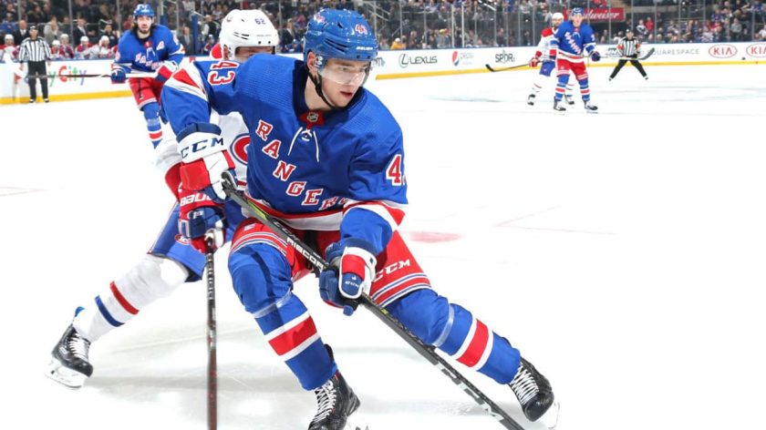 New York Rangers: The arrival of young Libor Hajek