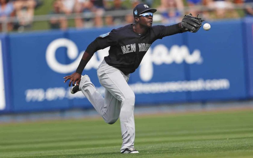 New York Yankees prospect Estevan Florial suffers broken wrist (Video)