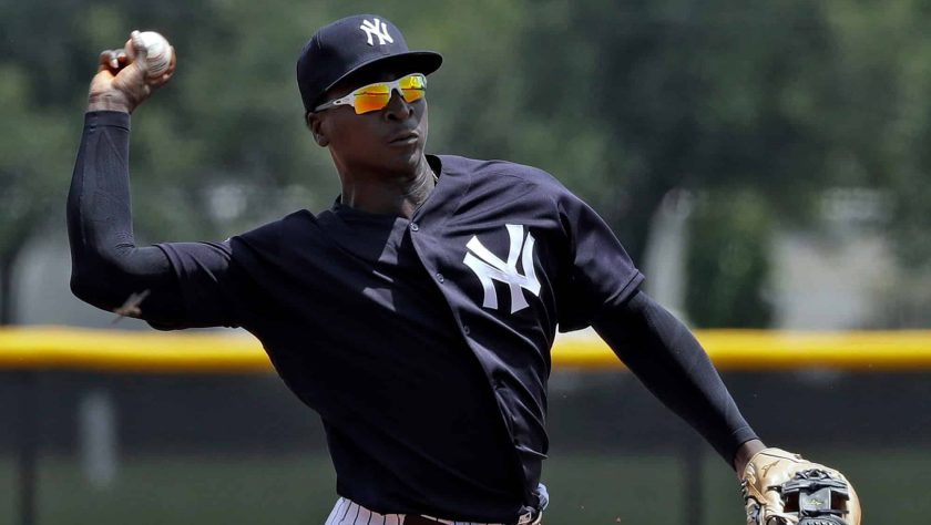 Didi Gregorius
