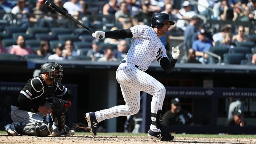 New York Yankees 1B Greg Bird flies south for winter league