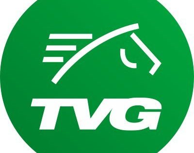 Promo Logo