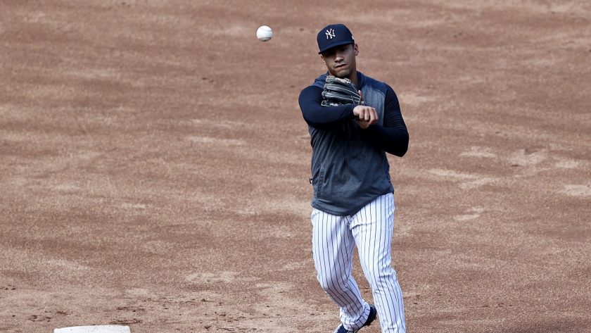 Breaking down New York Yankees betting splits, futures & player props