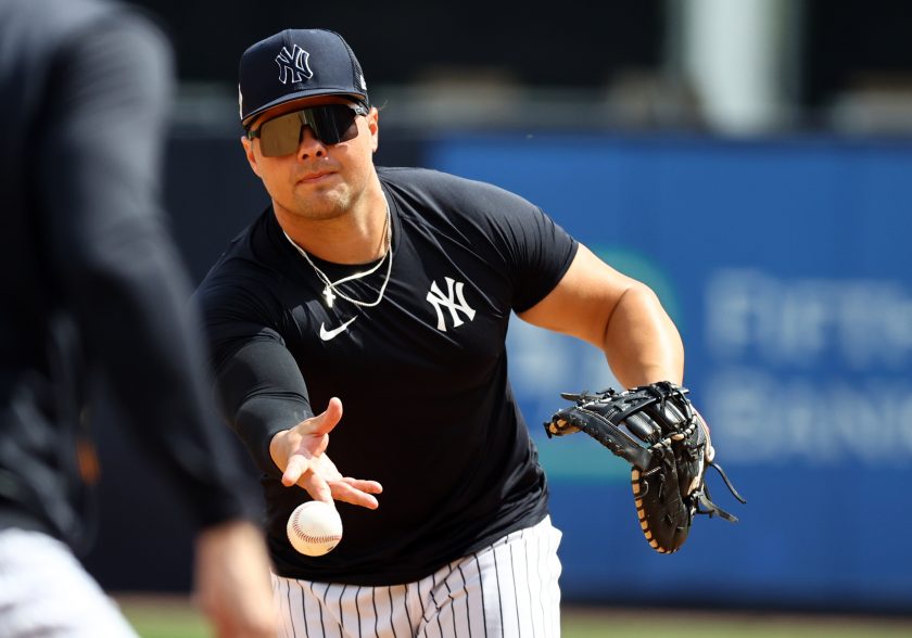 Luke Voit Yankees