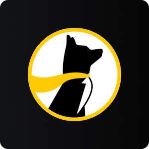 Promo Logo