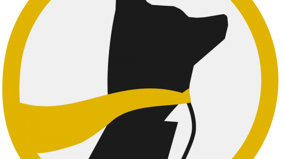 Promo Logo