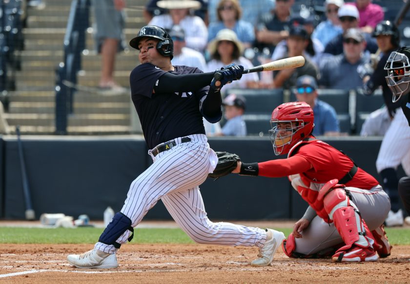 jose trevino yankees