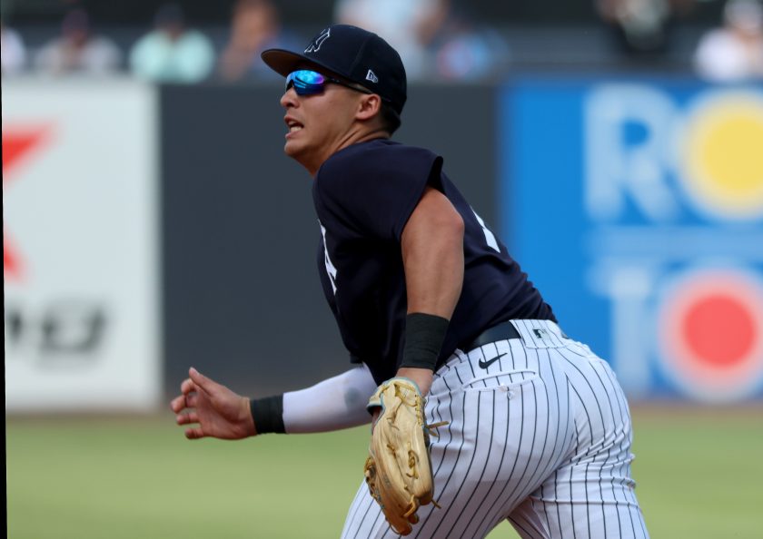Anthony Volpe Yankees