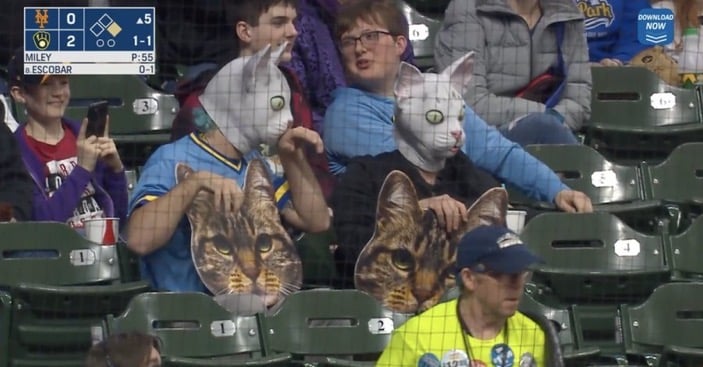 eduardo escobar cats