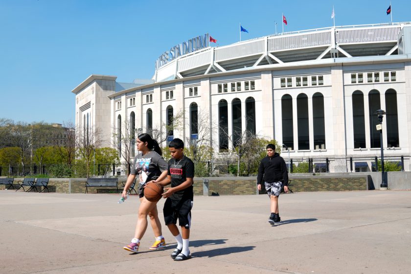 yankee stadium lizard