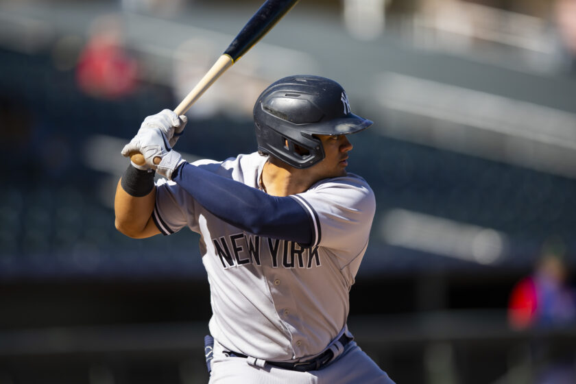 jasson dominguez yankees