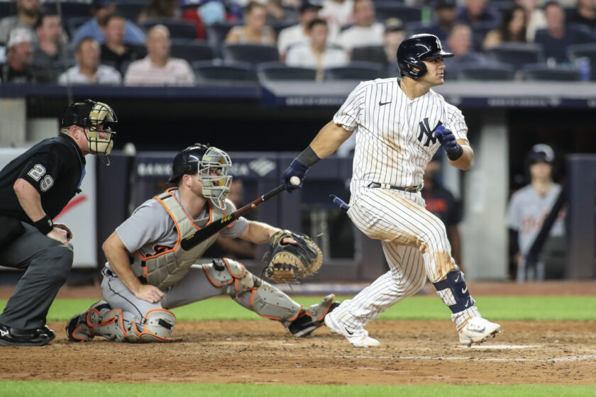 jasson dominguez yankees
