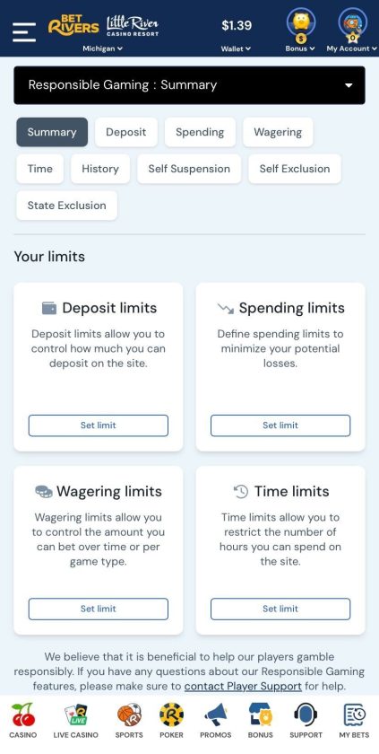 betrivers sportsbook app responsible gaming