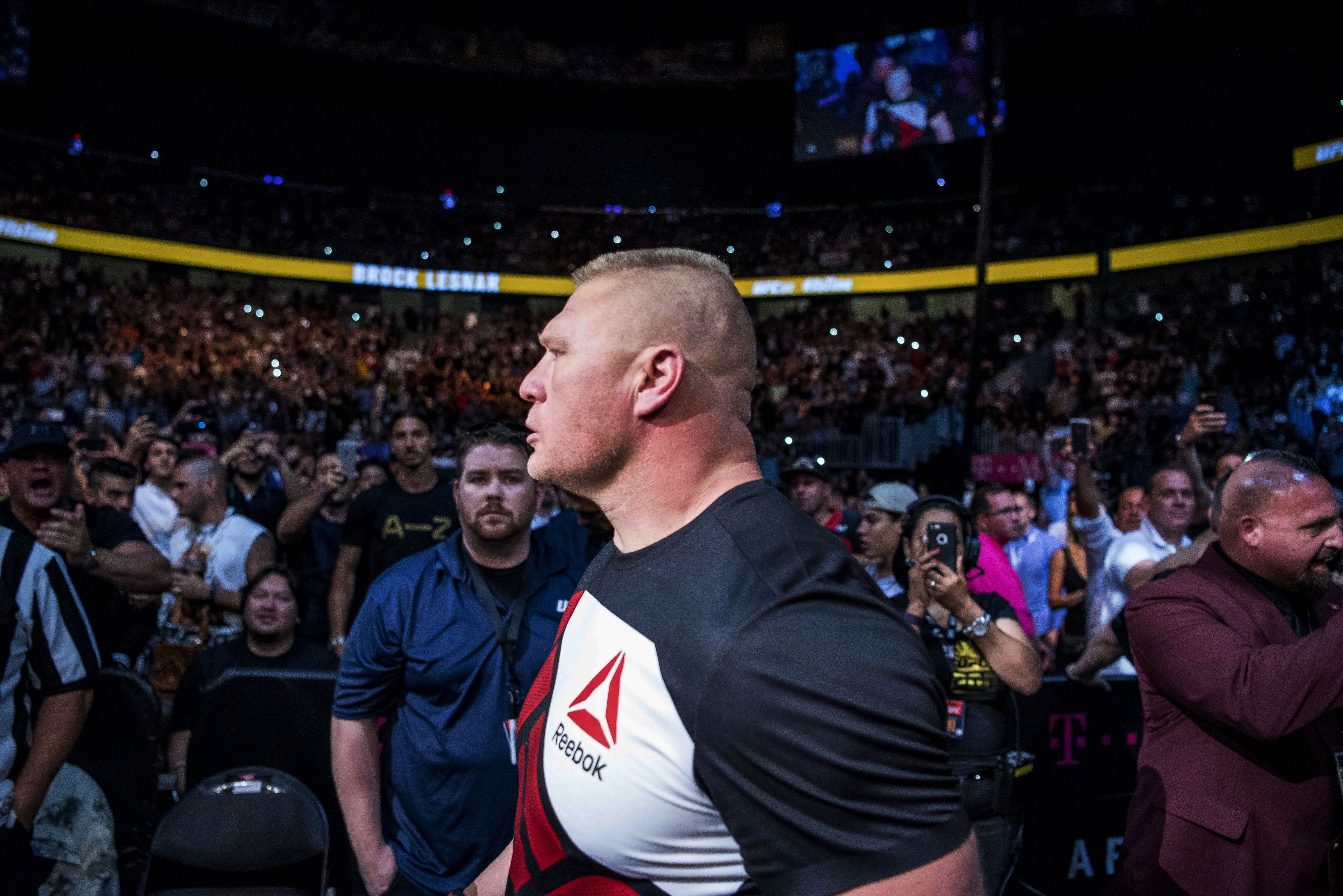 What Does A Temporary Suspension Mean For UFC/WWE Star Brock Lesnar? 2
