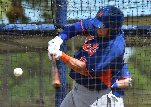 Sep 20, 2016; Port St. Lucie, FL, USA; New York Mets outfielder Tim Tebow (15) hits during his workout at the Mets Minor League Complex. Mandatory Credit: Jasen Vinlove-USA TODAY Sports