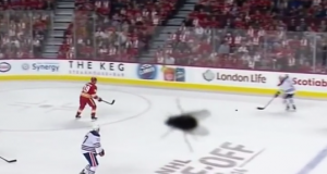 Giant Fly Invades Calgary Flames-Edmonton Oilers Game (Video) 