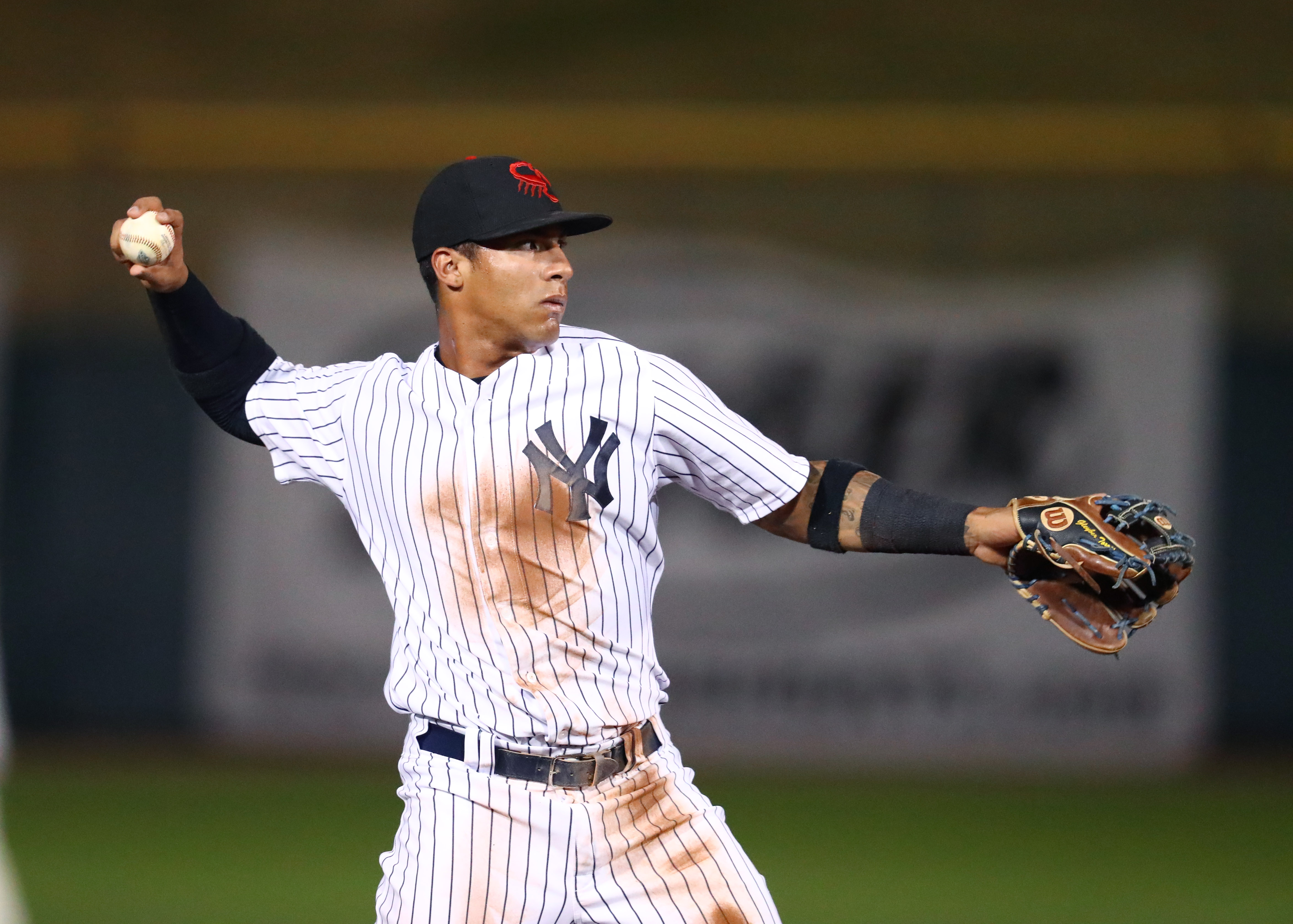 New York Yankees' Prospects Struggle In AFL All-Star Game 2