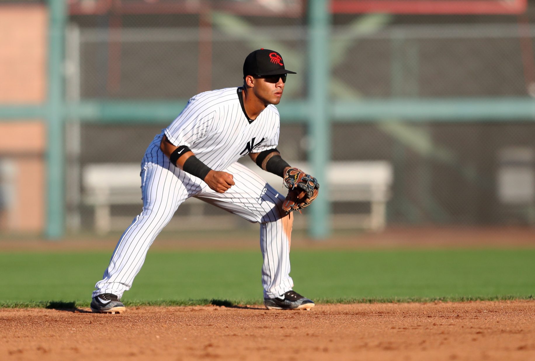 New York Yankees young stud Gleyber Torres has much to prove