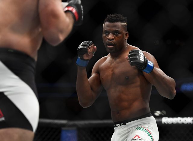 Francis Ngannou, possible Derrick Lewis opponent