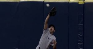 New York Yankees: Jacoby Ellsbury Shows Off Range With Leaping Catch (Video) 