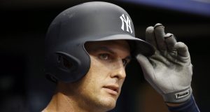 Greg Bird New York Yankees