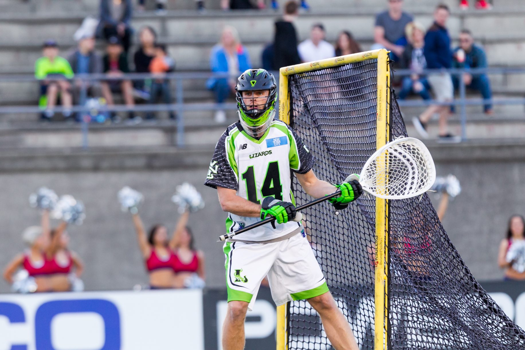 Drew Adams and the New York Lizards Are Down, But Not Out 1