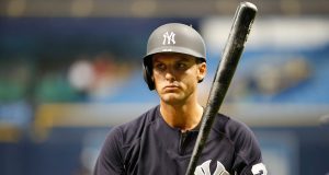 New York Yankees 1B Greg Bird: 'My Season Is Not Over' 