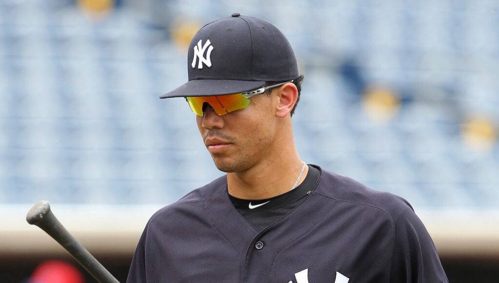 Freicer Perez Has The Tools To Be New York Yankees' Next Top Prospect 1