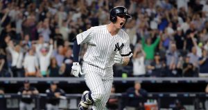 Greg Bird, New York Yankees