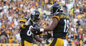 Pittsburgh Steelers, Antonio Brown Play Hide and Seek After TD (Video) 