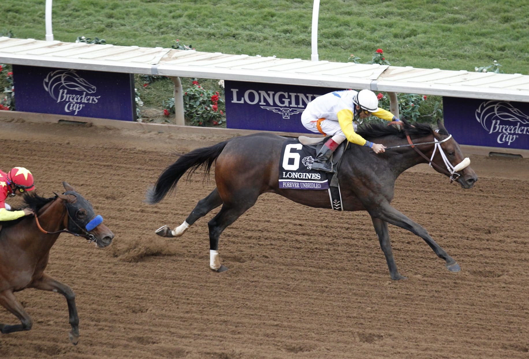 Forever Unbridled Wins Breeders' Cup Distaff 