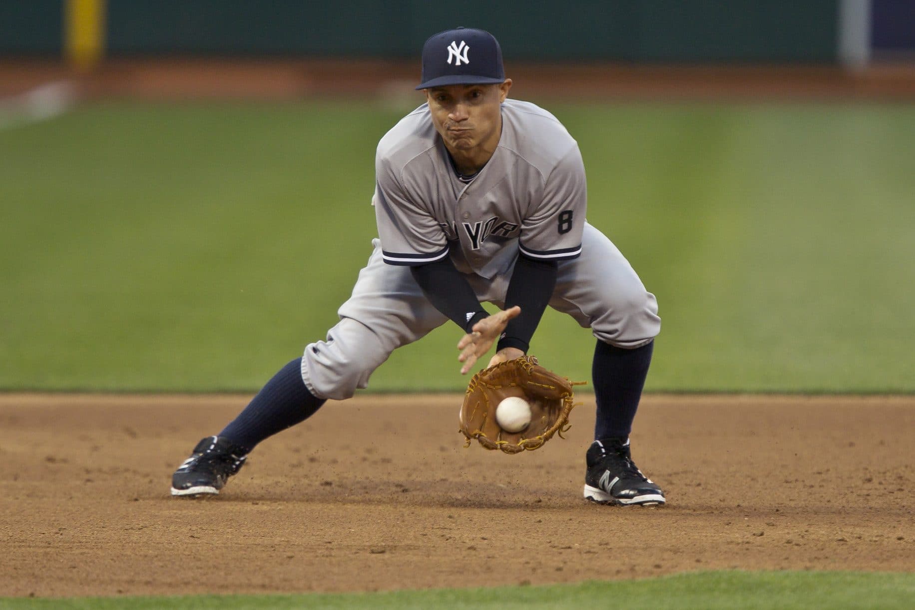 Ronald Torreyes New York Yankees Game-Used Majestic #74 Jersey vs