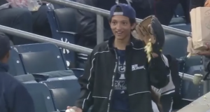 New York Yankees Popcorn Kid