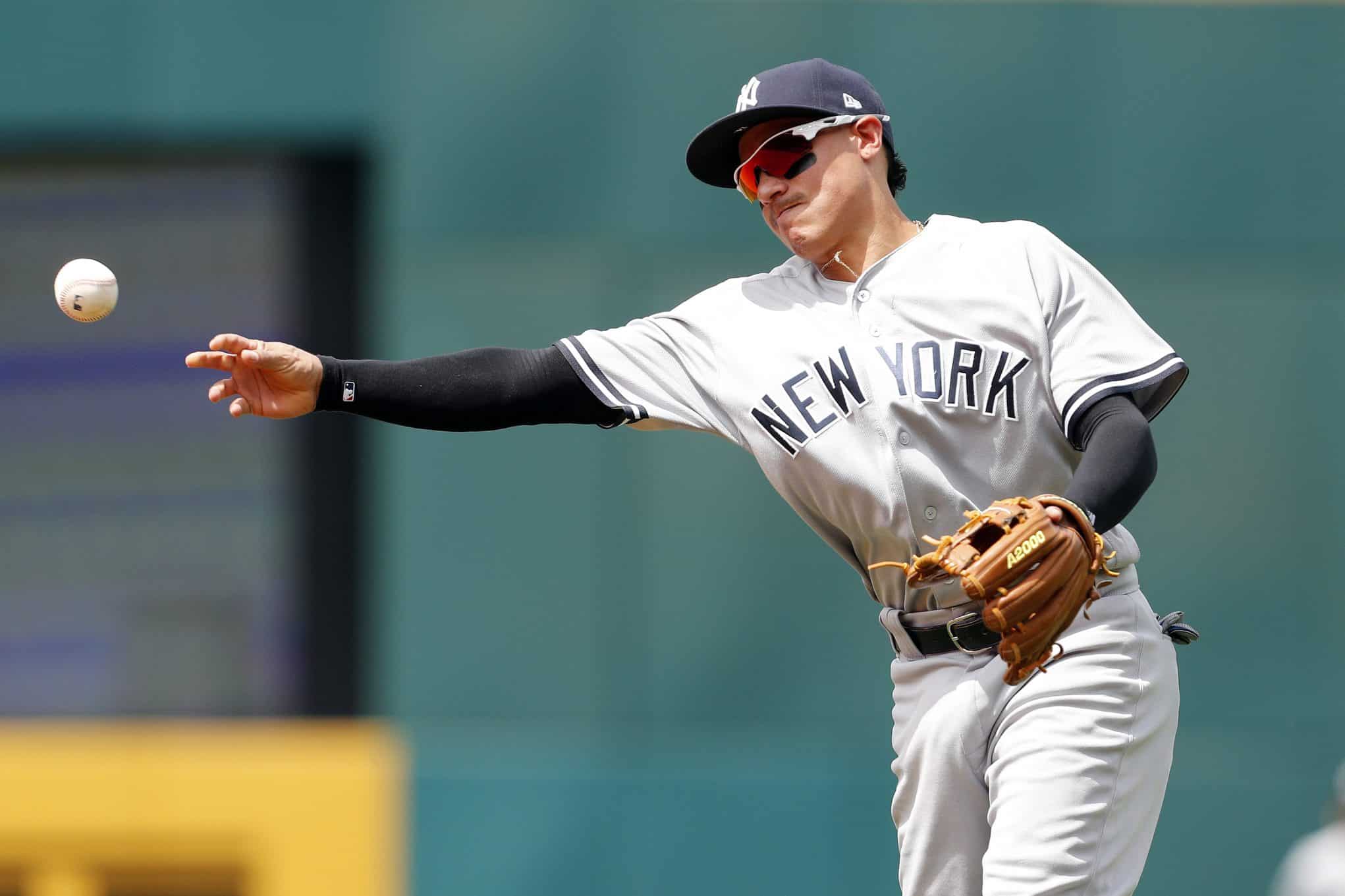 Ronald Torreyes New York Yankees