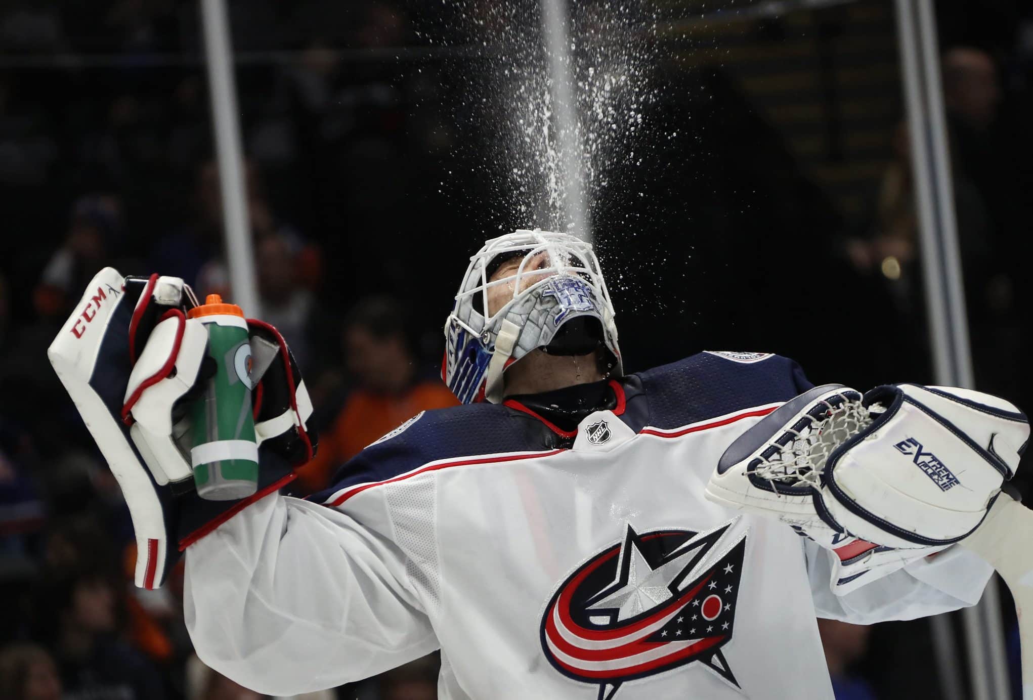 Sergei Bobrovsky