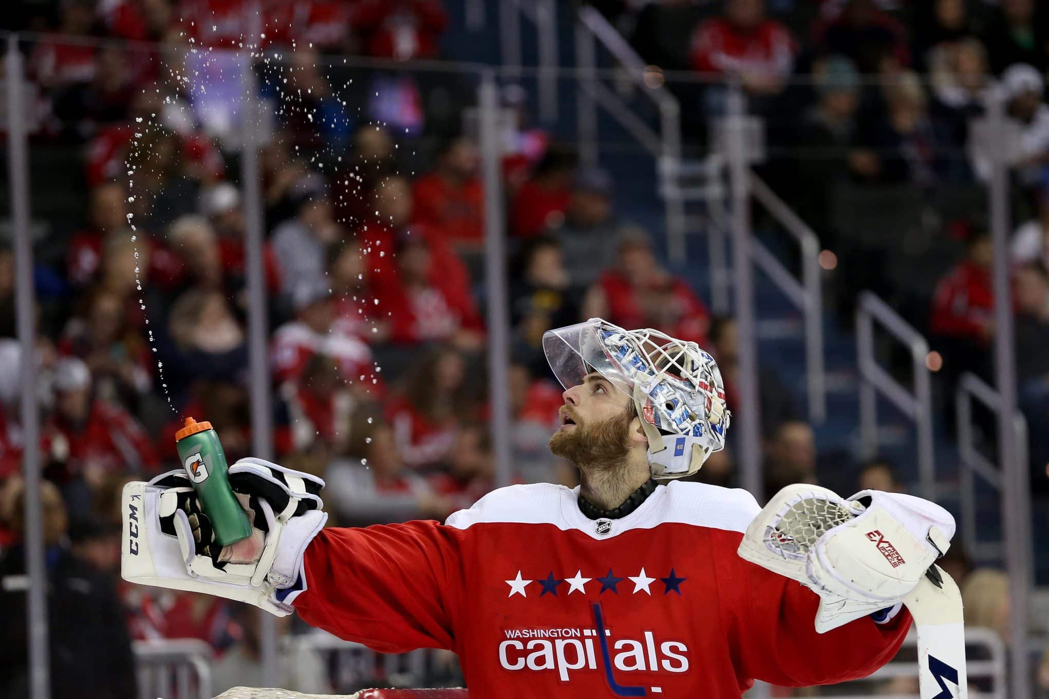 Braden Holtby