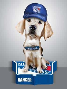 Ranger, New York Rangers service dog