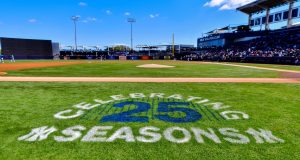 TAMPA, FLORIDA - FEBRUARY 27: A detail of the 25-season graphic on Steinbrenner Field prior to a Grapefruit league spring training game between the New York Yankees and the Tampa Bay Rays on February 27, 2020 in Tampa, Florida.